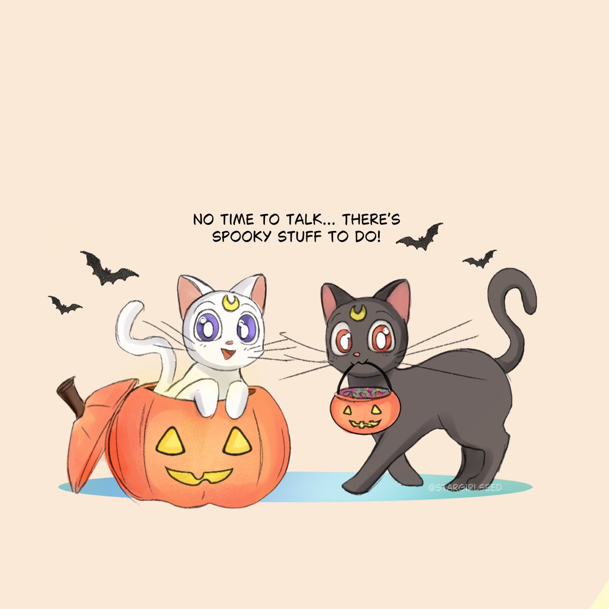 ◤luna様♡•*¨*•.¸♬︎専用ページ◢ luna*様⭐︎専用ページ ✨️luna