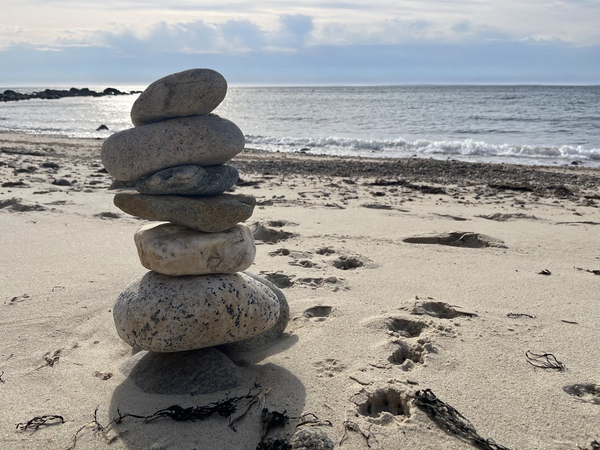 Often spotted on the Vineyard...