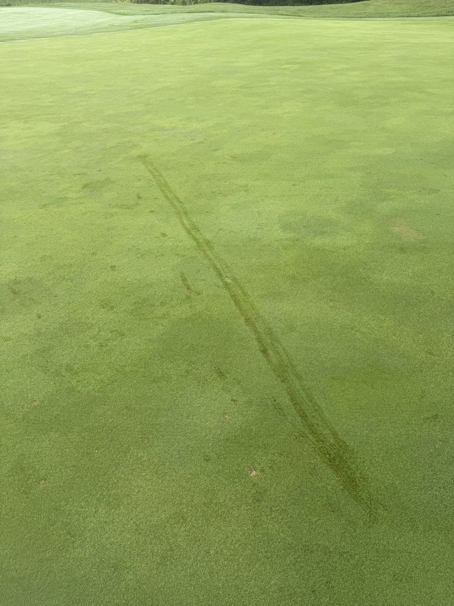 timONturf's tweet photo. @TonyTurf @grumpysuper Sunday morning. Right to the cup. https://t.co/YDQIfw0oJm