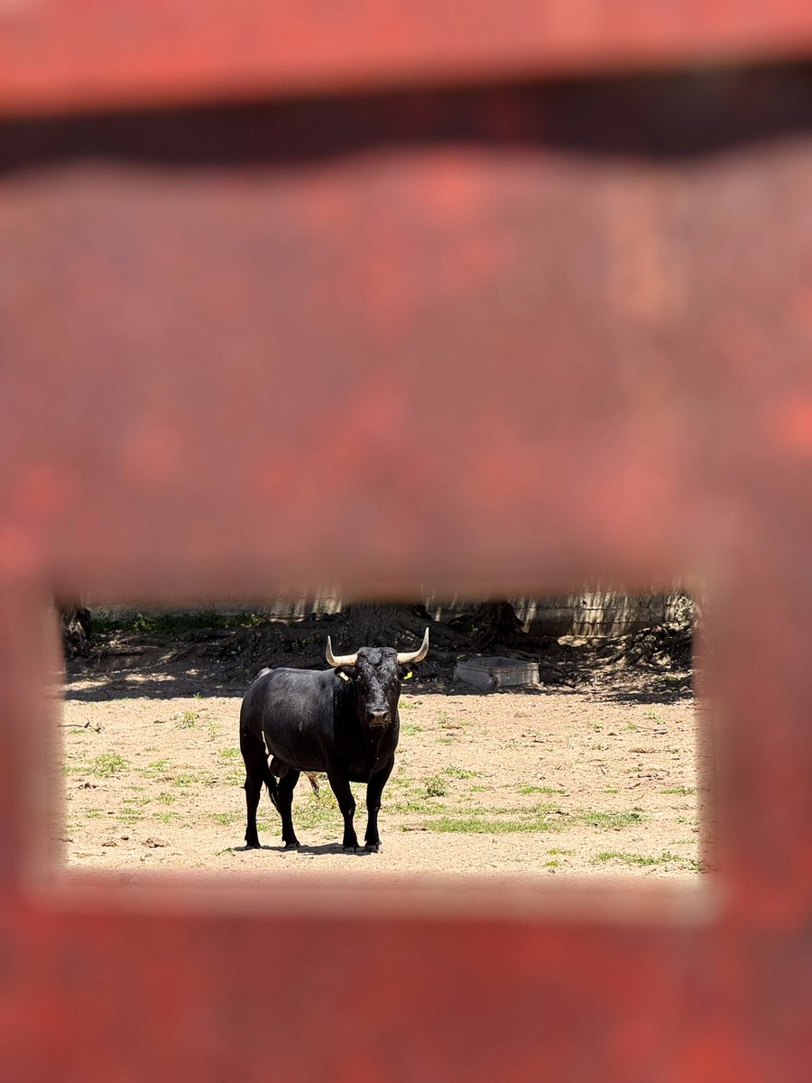 Emiliano Abreu (@donemilabr) on Twitter photo 