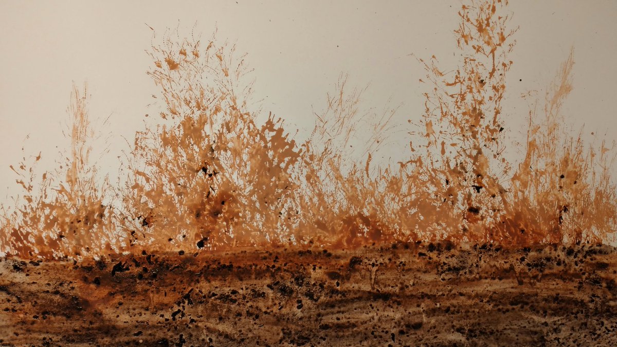 He estat experimentant amb cendres i terra d'una roureda cremada a l'incendi de Torrefeta i Florejacs. N'ha sortit una composició desconcertant
#SikarraNoLimits