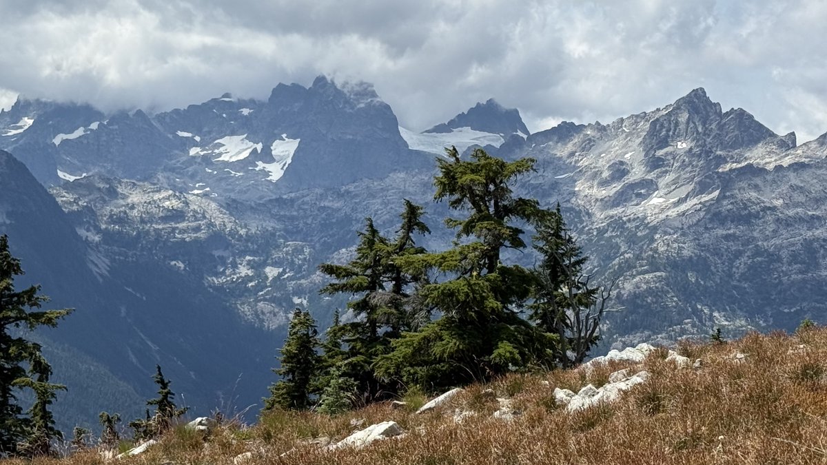 Stephen Johnson tweet media