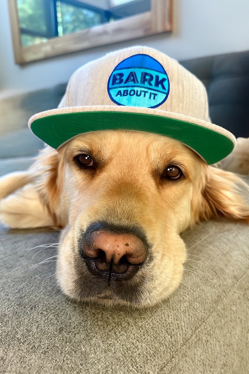 Greg Grunberg tweet media