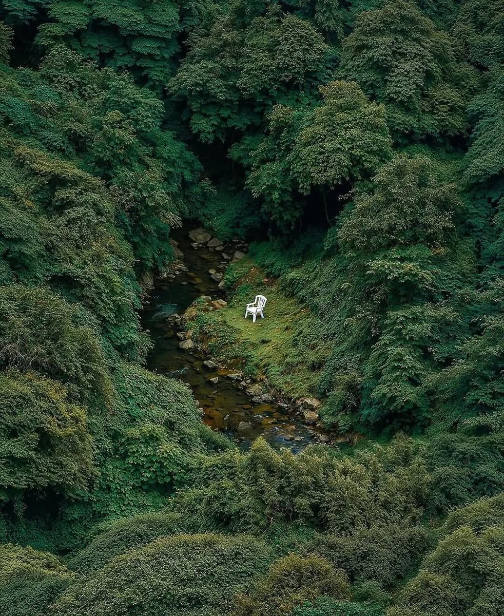 Psychedelic Art (@psychdelicpics) on Twitter photo 