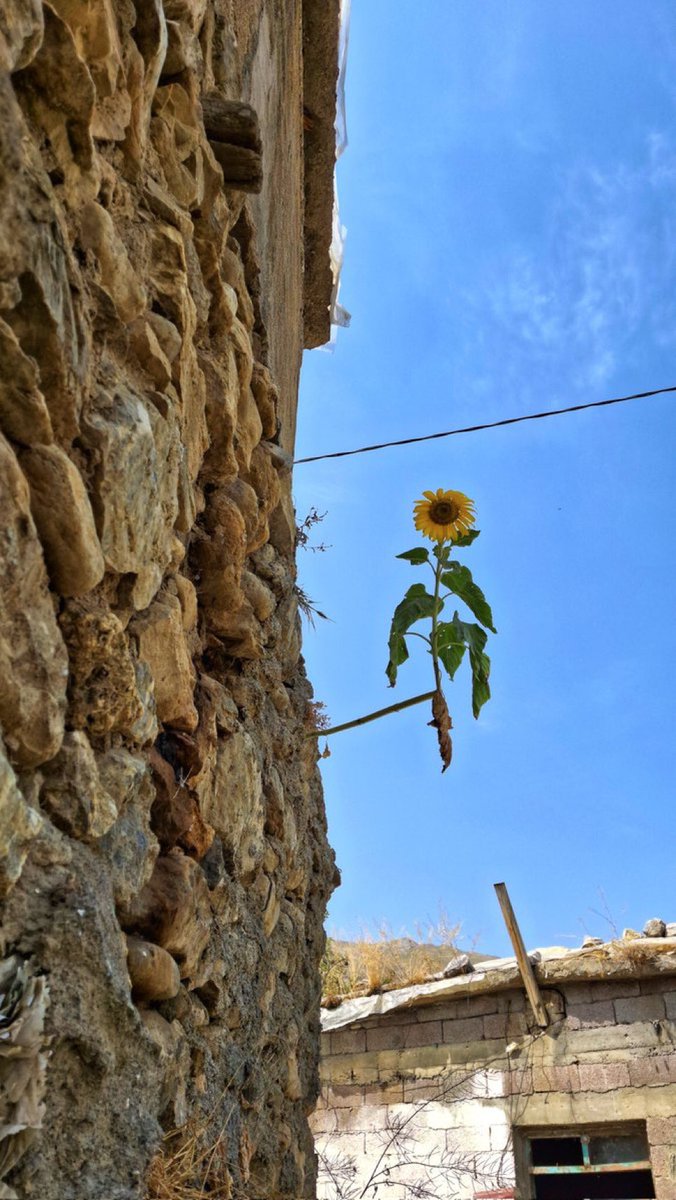 #çernobilduası 
#svetlanaaleksiyeviç