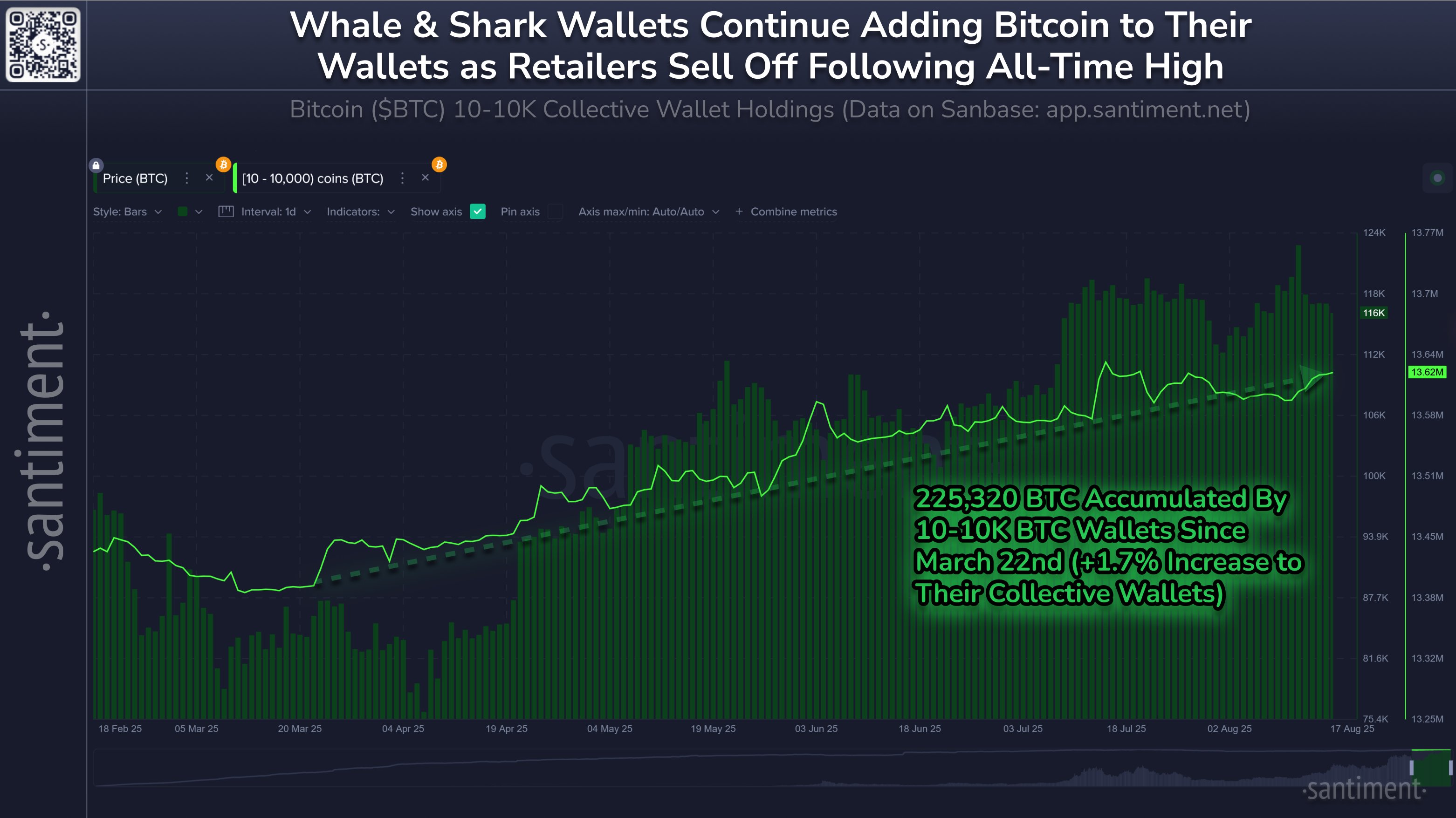 Bitcoin Sharks & Whales