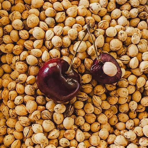 O’K…now here’s the story…All of Us, at one time or another…are Faced With This….Life is Not Always a Bowl of Cherries….
Too Many Time, Life is Filled with Some Cherries and a **LOT of Pitts**+!!! You Know Exactly What I Mean !!! ((I’m having such a problem right now!))