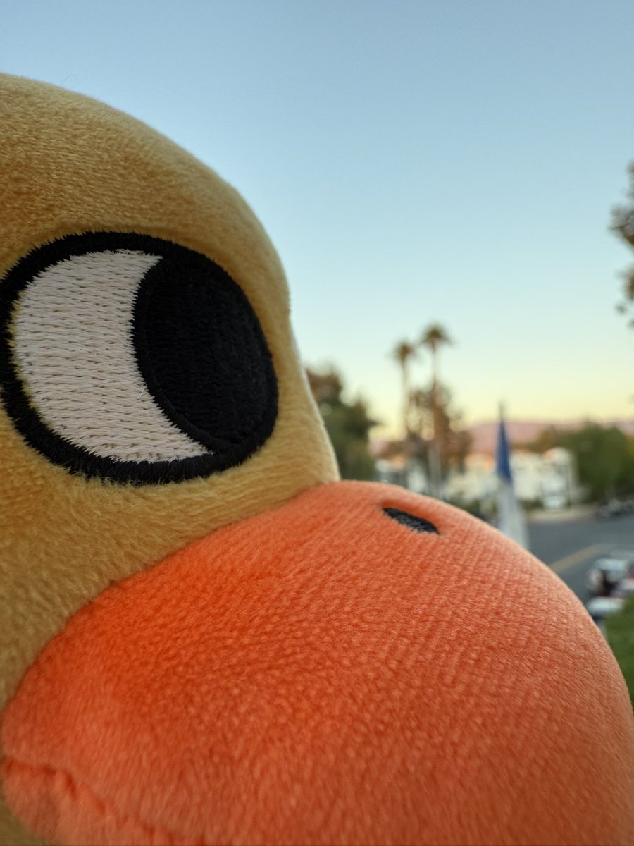 Eyes on the prize
