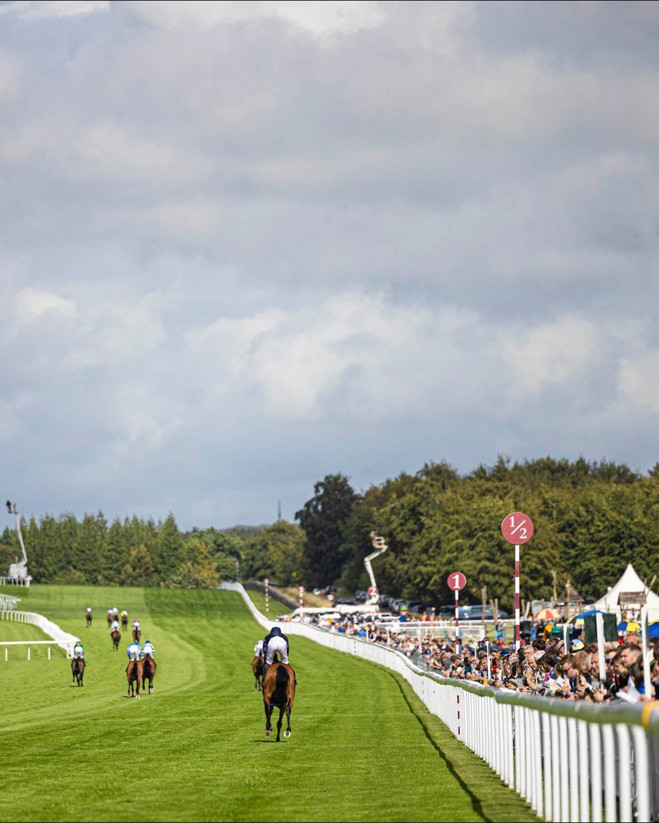 One week...NINE #WinAndYoureIn races 🙌

Get ready for:
👒 York
🎪 Saratoga
🌴 Del Mar
🌳 Goodwood

📸: <a href="/EclipseSports/">Eclipse Sportswire</a>
