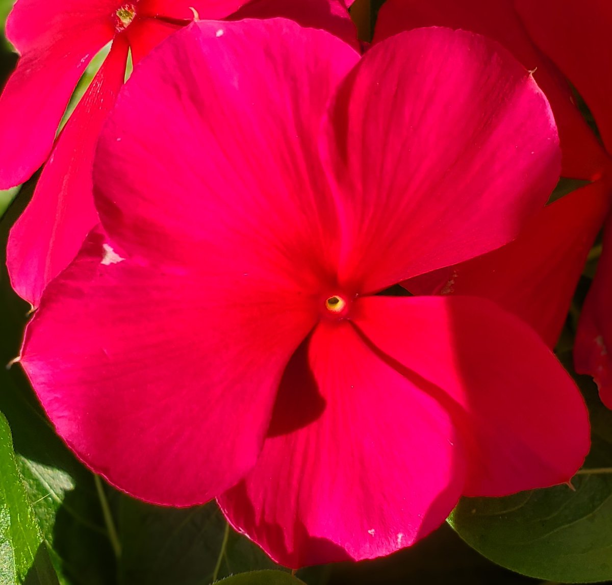 おはようございます
気温 27℃
今日の最高気温 31℃

今朝のお天気は晴れ🌞
日中も晴れの予報

店頭に並びだしたお米
銘柄米はまだまだ高騰！
備蓄米に加えて
カリフォルニア米
台湾米
選択肢は増えたけど
どうかな？

頑張っていきましょう👊
良い１日をお過ごしください☺
#アマチュア無線
#イマソラ