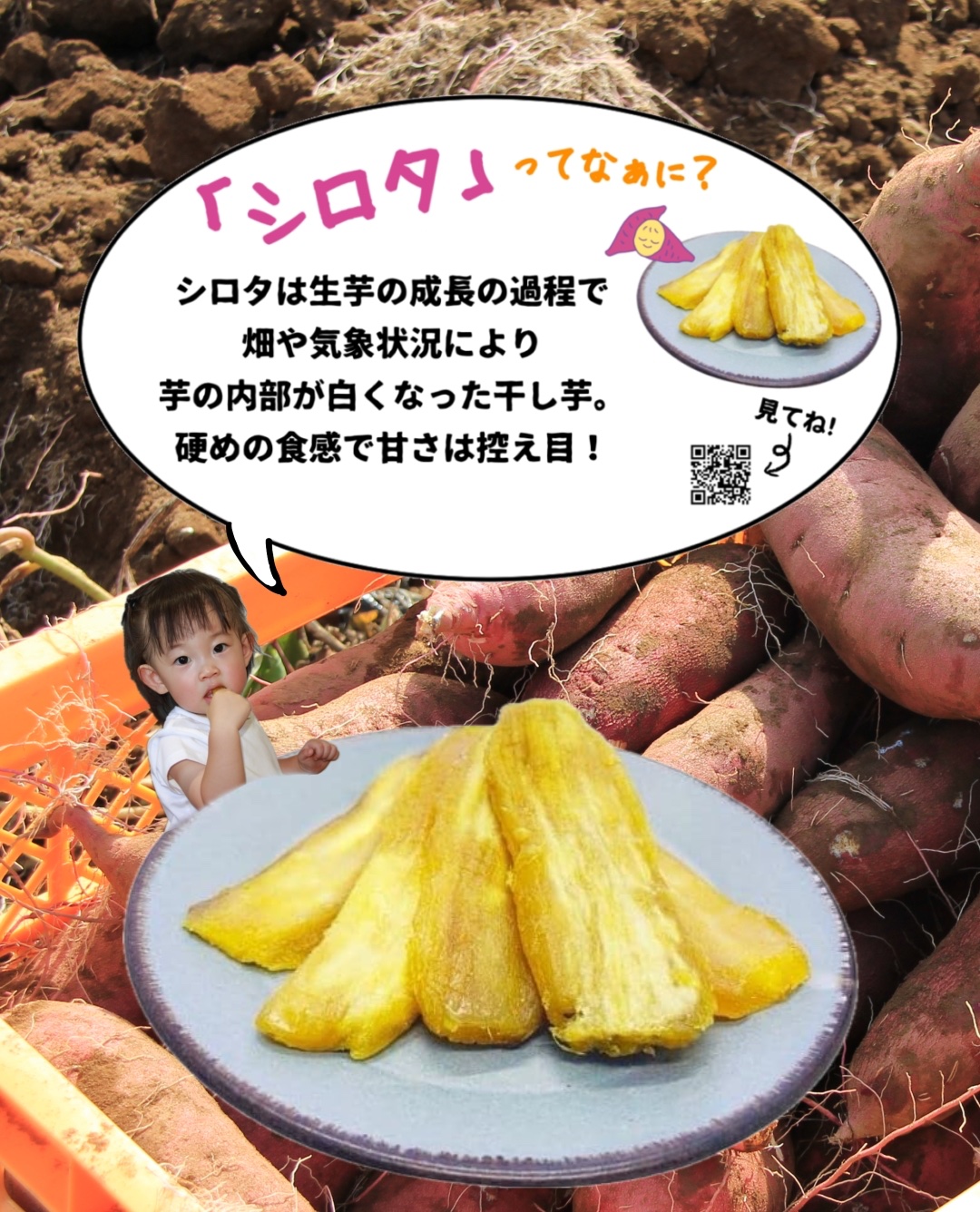 ほしいも B0679664-7D65-4996-B8D5-
