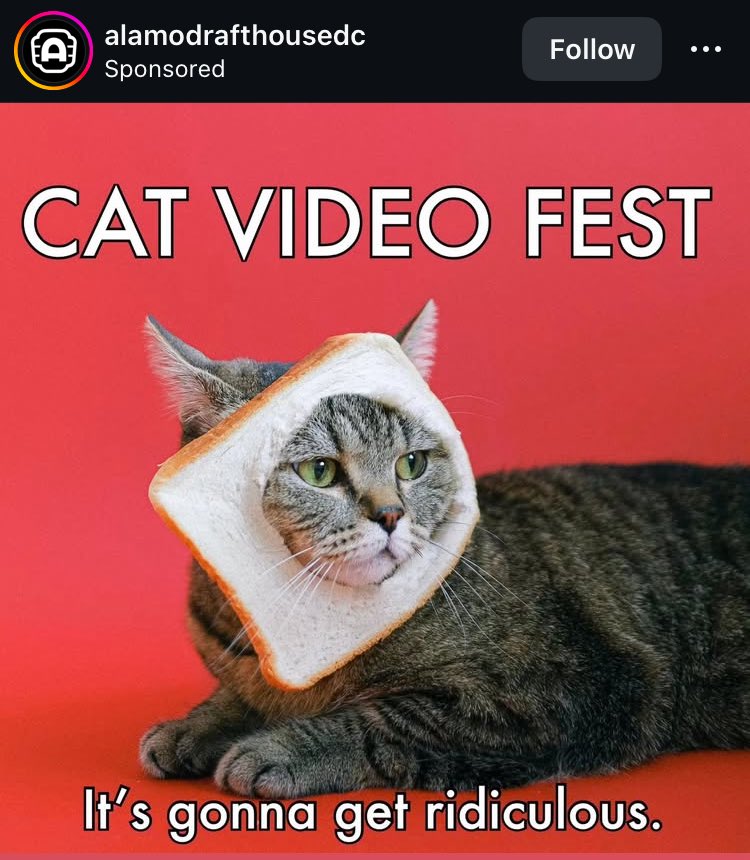 Dr. Joseph Santoro 🇺🇲🇻🇮🇪🇺 tweet media