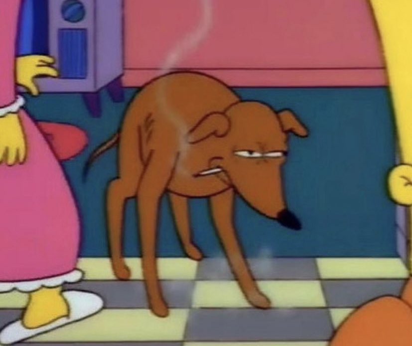 Everton are back for another premier league season