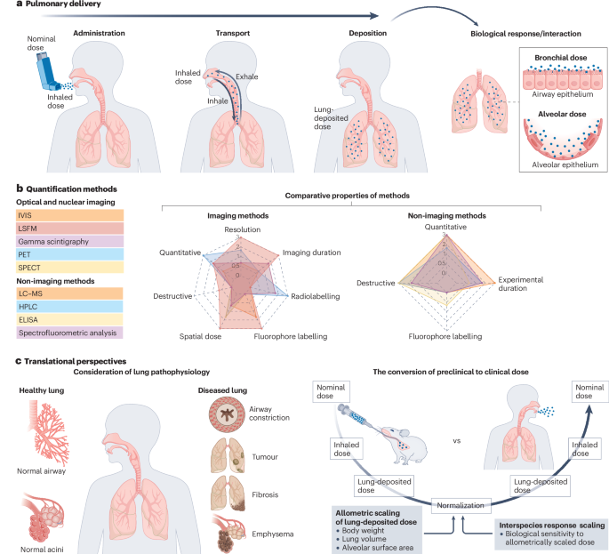 natrevbioeng's tweet photo. Precision dosimetry in pulmonary drug delivery https://t.co/OtJto3AEX6 https://t.co/0HlnCAy88t