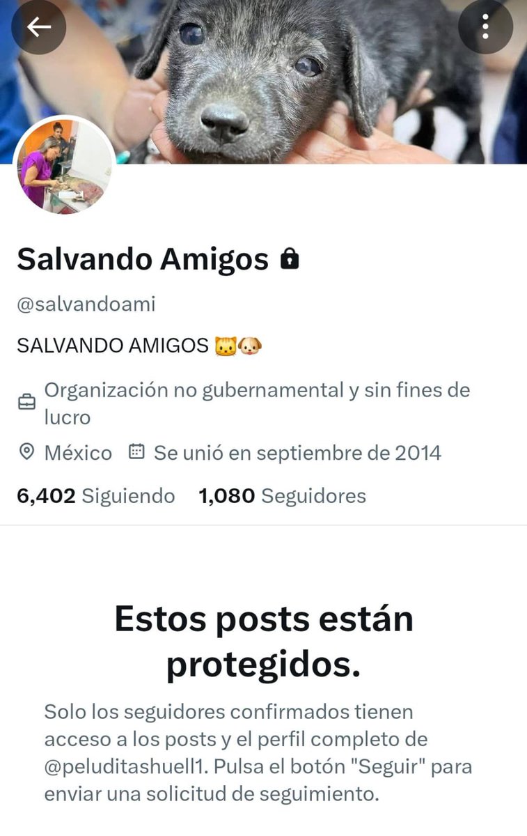 Ya se cambiaron el nombre 🚨🚨🚨
Esto lo hacen seguido para pasar desapercibidos y seguir estafando.