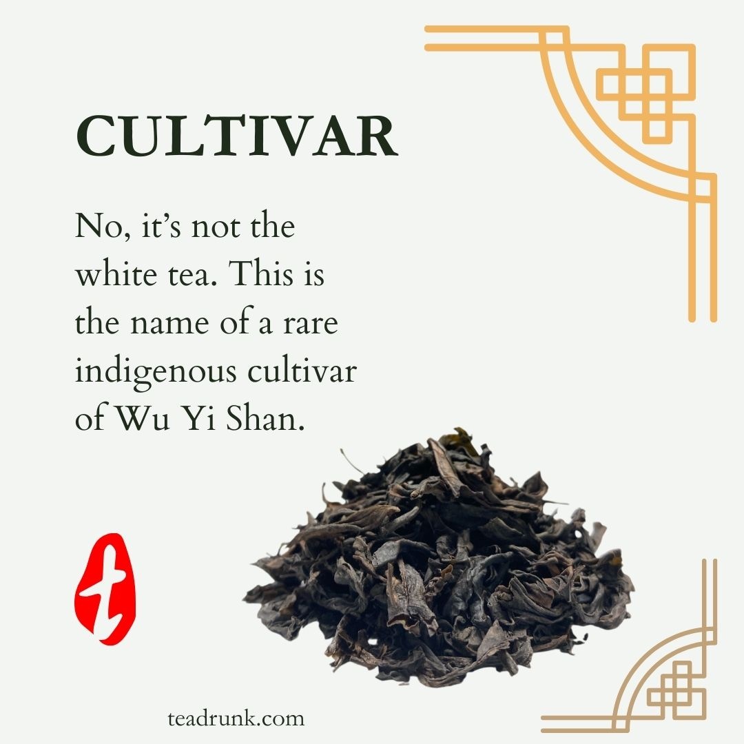 Tea Drunk tweet media