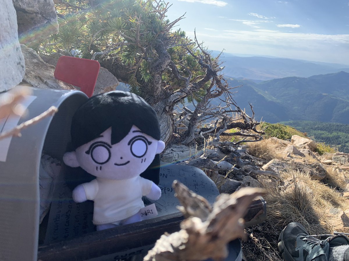 i wake up and decide i'm gonna climb a mountain