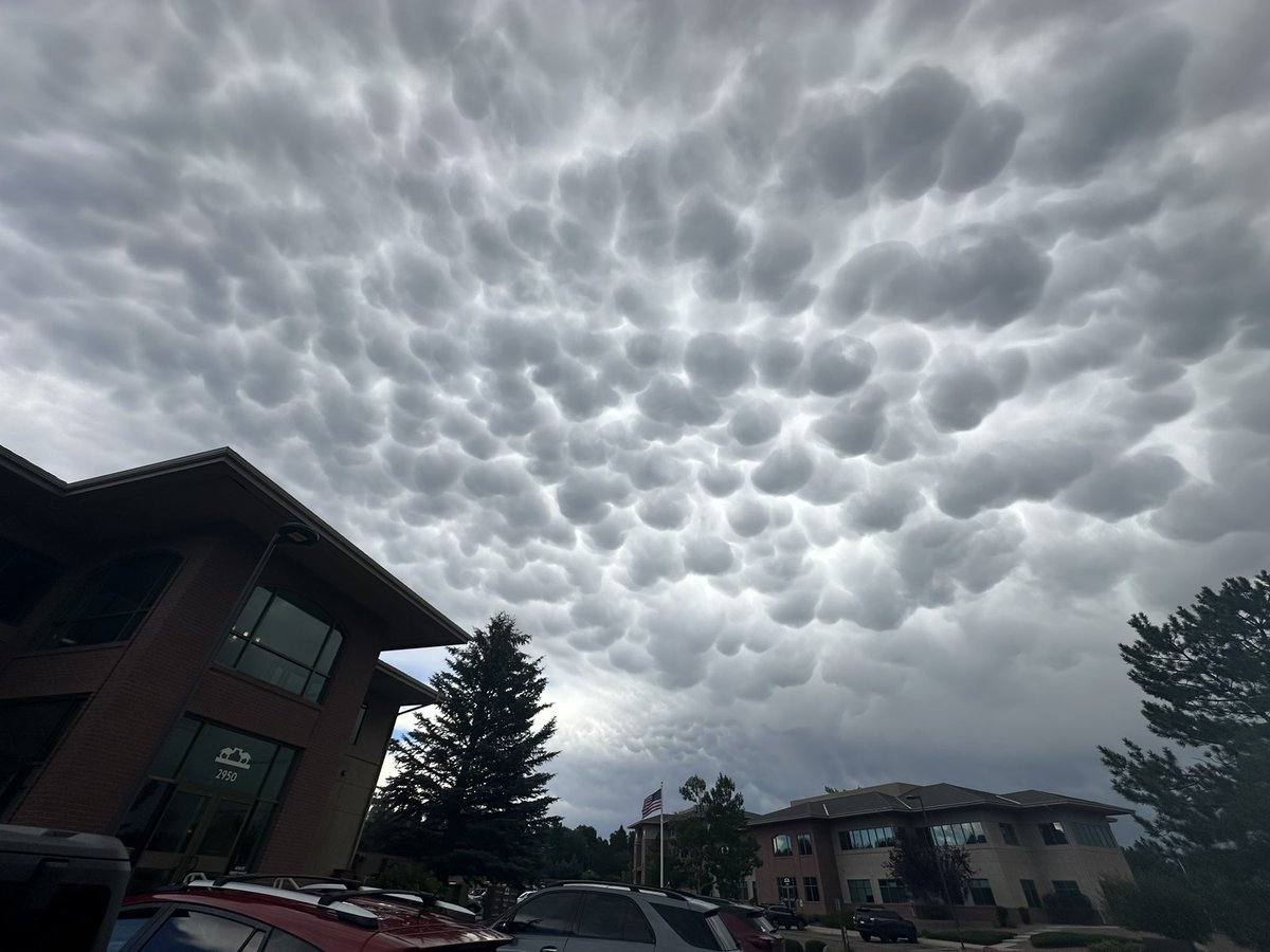 Charlie Woodrum tweet media