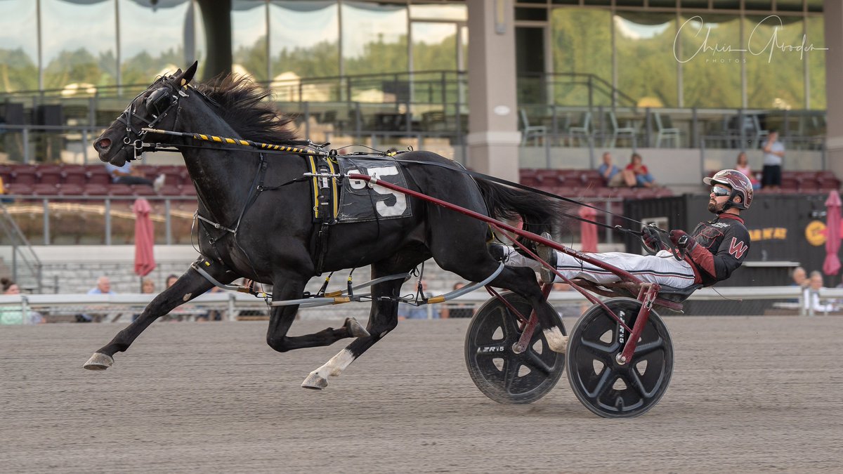 Jeff Zidek (@meadows_tv) on Twitter photo Louprint will be on the track Tuesday between races 2 and 3 for an Official Workout, which will be shown LIVE during the simulcast show. <a href="/HWoodMeadows/">Hollywood Casino at The Meadows</a> will have a special 13-race Tuesday card at 12:45pm tomorrow! <a href="/CGoodenPhotos/">📸 Chris Gooden 📸</a> <a href="/USTrotting/">U.S. Trotting Assn.</a> Louprint will be on the track Tuesday between races 2 and 3 for an Official Workout, which will be shown LIVE during the simulcast show. <a href="/HWoodMeadows/">Hollywood Casino at The Meadows</a> will have a special 13-race Tuesday card at 12:45pm tomorrow! <a href="/CGoodenPhotos/">📸 Chris Gooden 📸</a> <a href="/USTrotting/">U.S. Trotting Assn.</a>