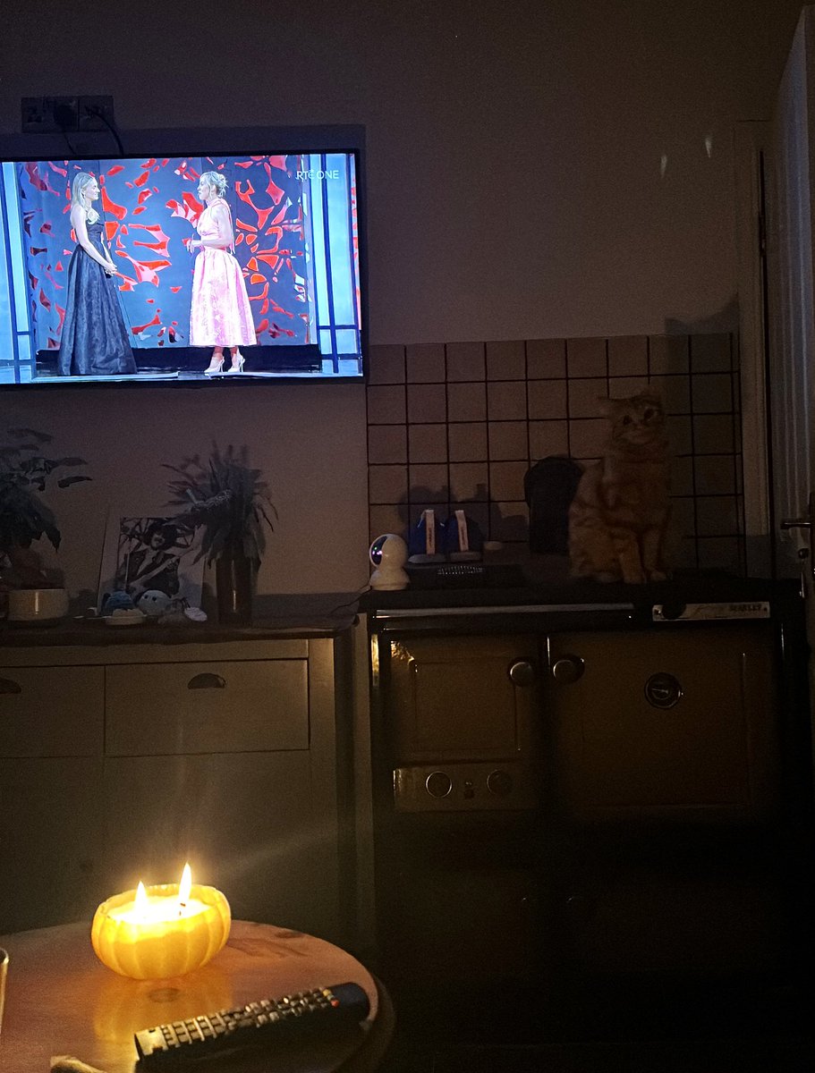 kayawflynn's tweet photo. Night one of the #roseoftralee and bert is enjoying the show 🌹 https://t.co/lhw5SKFmBA