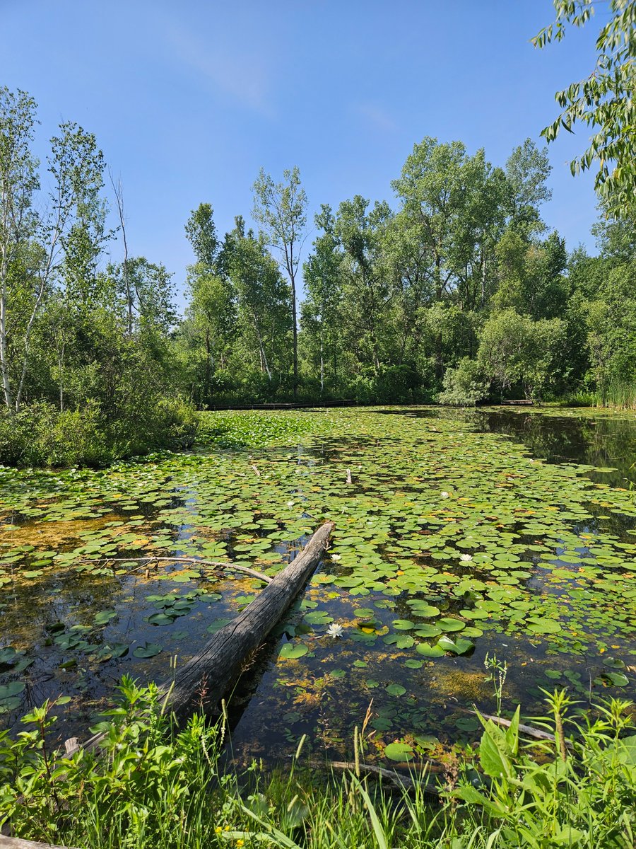 Breathe in, breathe out. Recenter. Recharge. Time in nature creates so many benefits for our bodies, minds, and hearts.