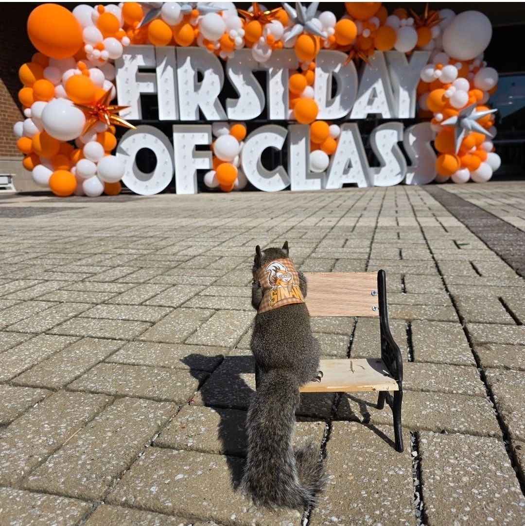tn_sinan's tweet photo. First day of class🐿🍊🧡
#Sinan #squirrels #volsquirrel #utsquirrels #tnsquirrel #govols #gbo #vlos #smokey #football #vfl #sec #volunteer #oakridge #knoxville #Nashville #chattanooga #memphis #tennessee #usa #esa https://t.co/UG8WC4XHgQ