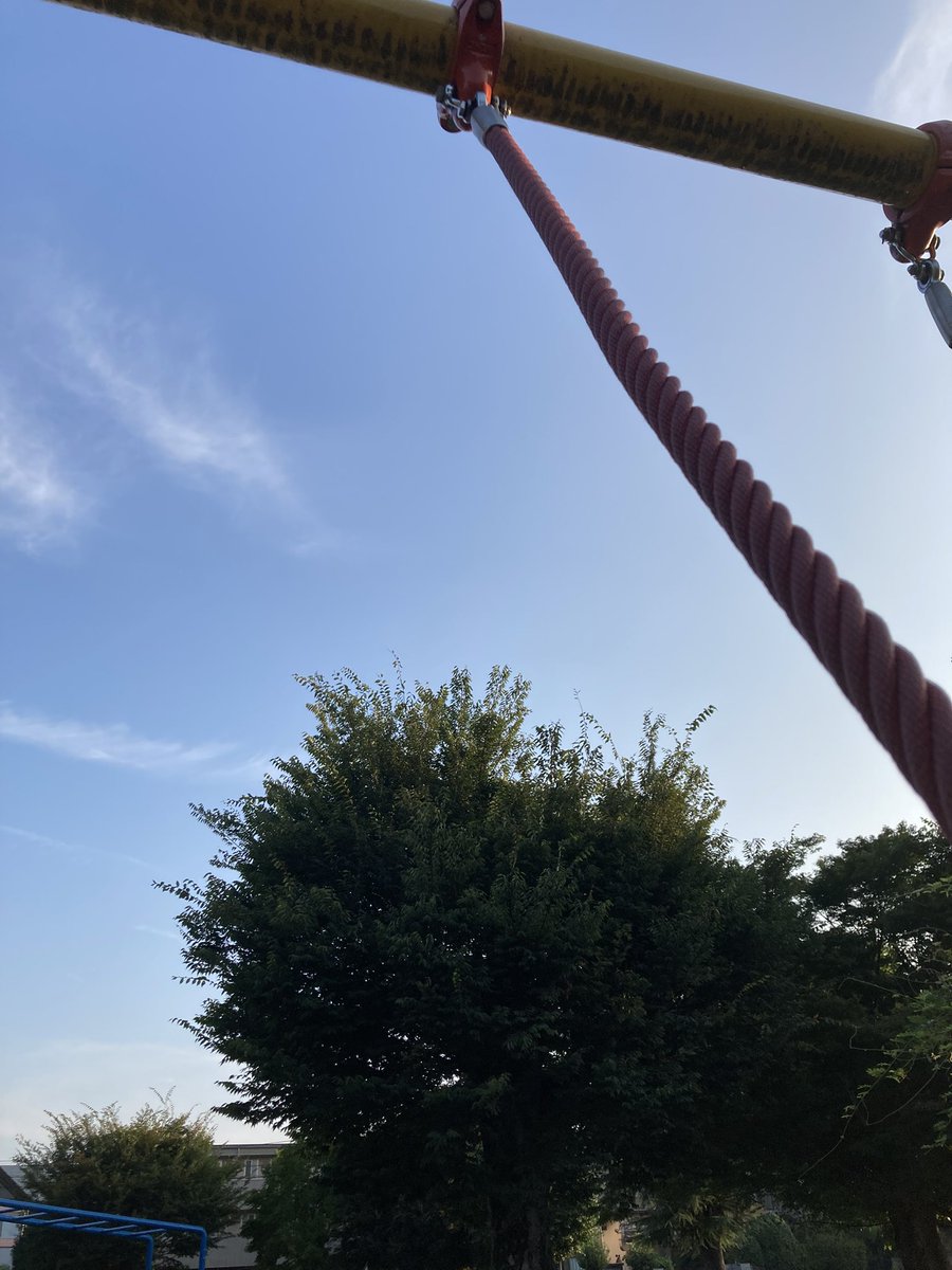 やっぱ朝は、公園でブラブラ