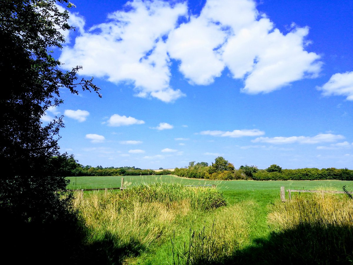 phil0073's tweet photo. 1/Probably,once some old #Faxton meadows,left to right #GreatNessMeadow, #LittleNessMeadow,#PalmersLittleMeadow & maybe even #MidwifesMeadow* .#PhilOnaBike (Stylised) *maybe a kind soul left a field,whose income would provide for a #midwife's services ?..#Clouds #MondayMeander https://t.co/DvgjI5p1xI