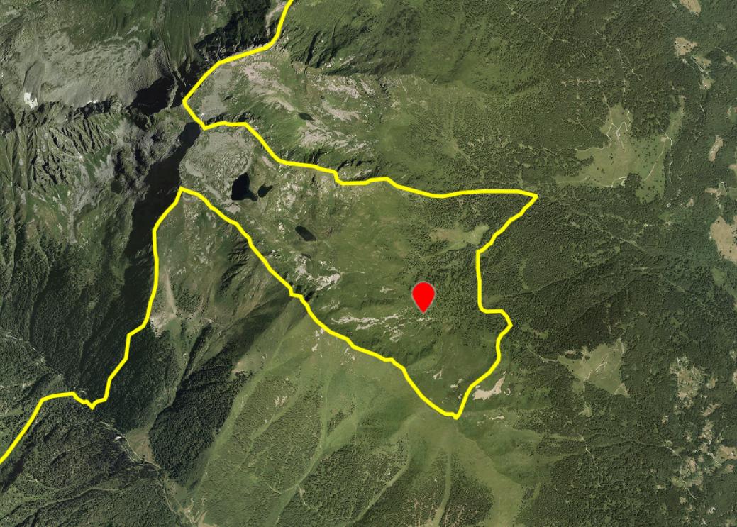 #Trentino, un'#orsa coi cuccioli ferisce il cane di un cacciatore. Dentro i confini del Parco Naturale Adamello - Brenta, a 1900 metri, dove è stata autorizzata un'area per allenamento cani! Questa non è una provincia autonoma ma un manicomio!  shrturl.app/LNJfmM