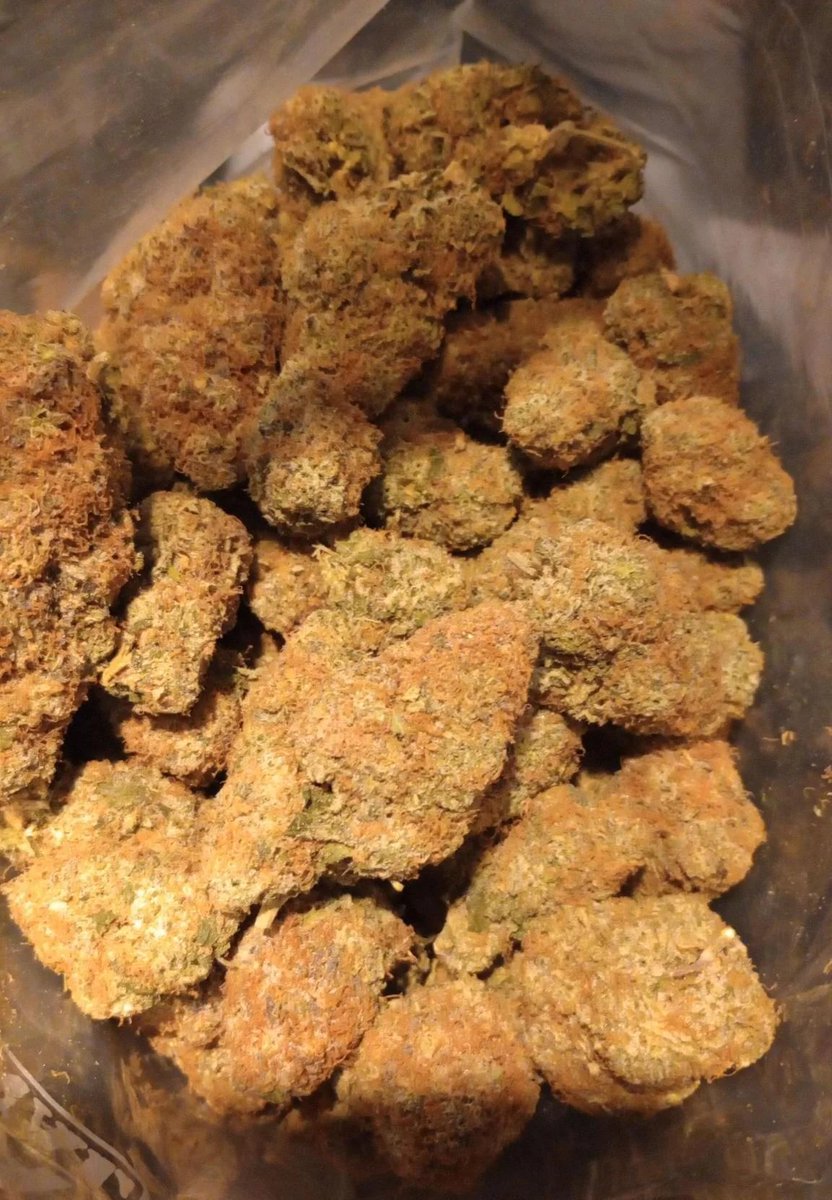 eqp_556's tweet photo. MANGO KUSH https://t.co/IQpsNGSl8Q