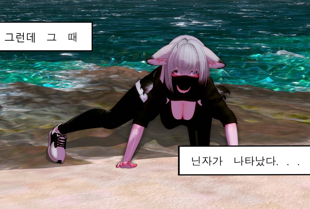 그런데 그 때 닌자가 나타났다