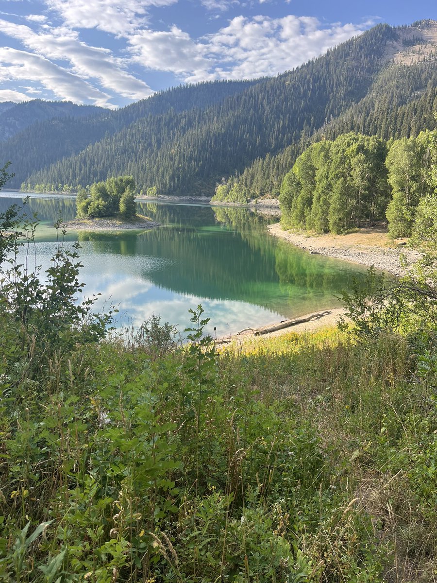 📍 IDAHO STATE university 

Just a couple of turns away from campus!  

#SawWood 🐅