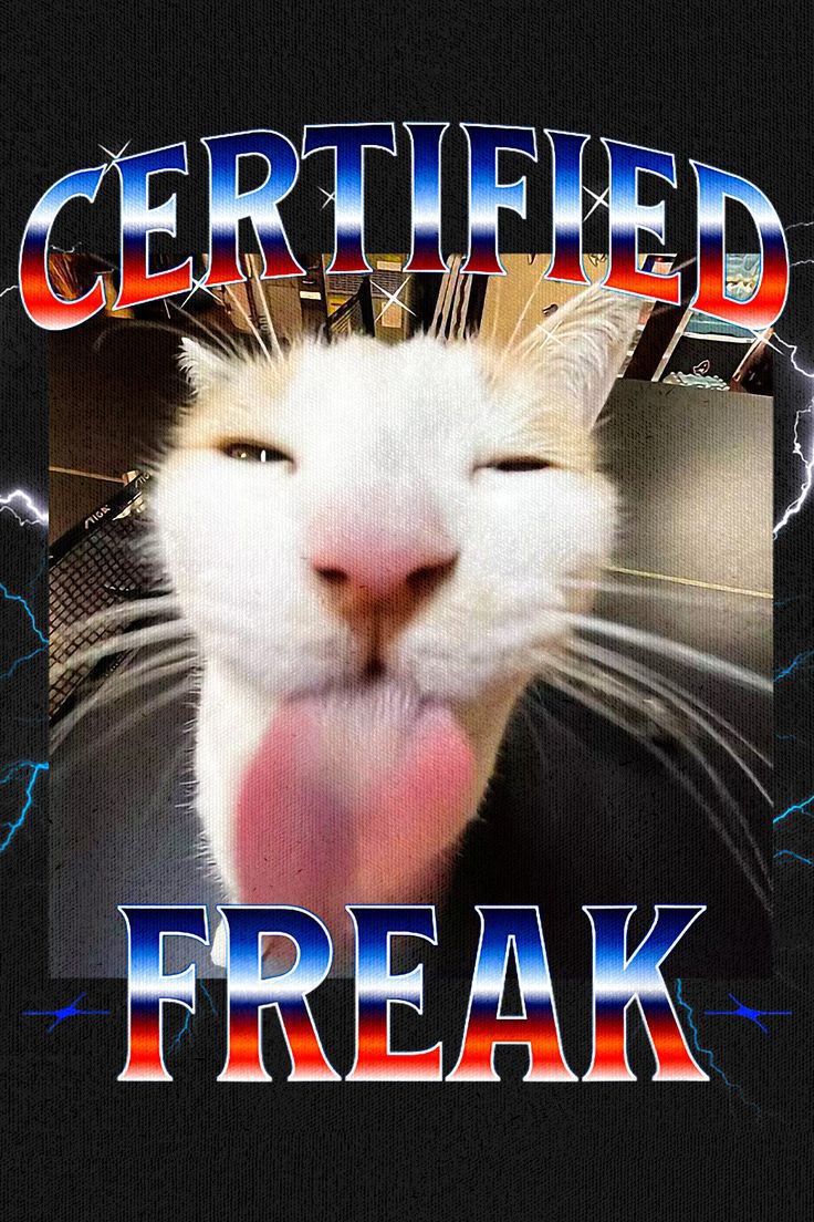 Alien Ant (@tkalienant) on Twitter photo <a href="/fuelkek/">Fuel</a> It's $Catty 👀
When your bf builds JUP Mobile & you fat-finger his wallet + <a href="/jup_studio/">Jup Studio (evil intern arc 😈)</a> → blockchain collapse 💥
She didn’t care. She birthed #CATTYgang. Chipi chapa, brain rot, vibes forever.
Ca: Ag9TVNiyh2dDbVAzf1fZj6rjPLRTCLGXQzEDwWuZjupx | TG: t.me/+viBXzAmbZmA5O… <a href="/fuelkek/">Fuel</a> It's $Catty 👀
When your bf builds JUP Mobile & you fat-finger his wallet + <a href="/jup_studio/">Jup Studio (evil intern arc 😈)</a> → blockchain collapse 💥
She didn’t care. She birthed #CATTYgang. Chipi chapa, brain rot, vibes forever.
Ca: Ag9TVNiyh2dDbVAzf1fZj6rjPLRTCLGXQzEDwWuZjupx | TG: t.me/+viBXzAmbZmA5O…