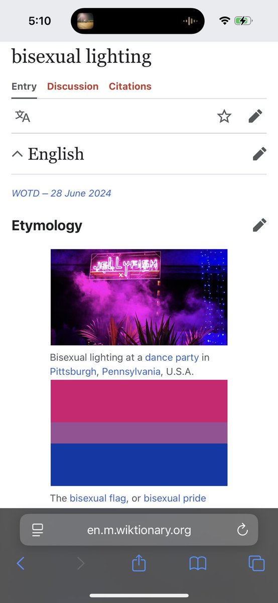 KennethCW3's tweet photo. Which of my mutuals made a picture from a Jellyfish party the default photo for bisexual lighting on wikitionary? https://t.co/zKRjIItUD6