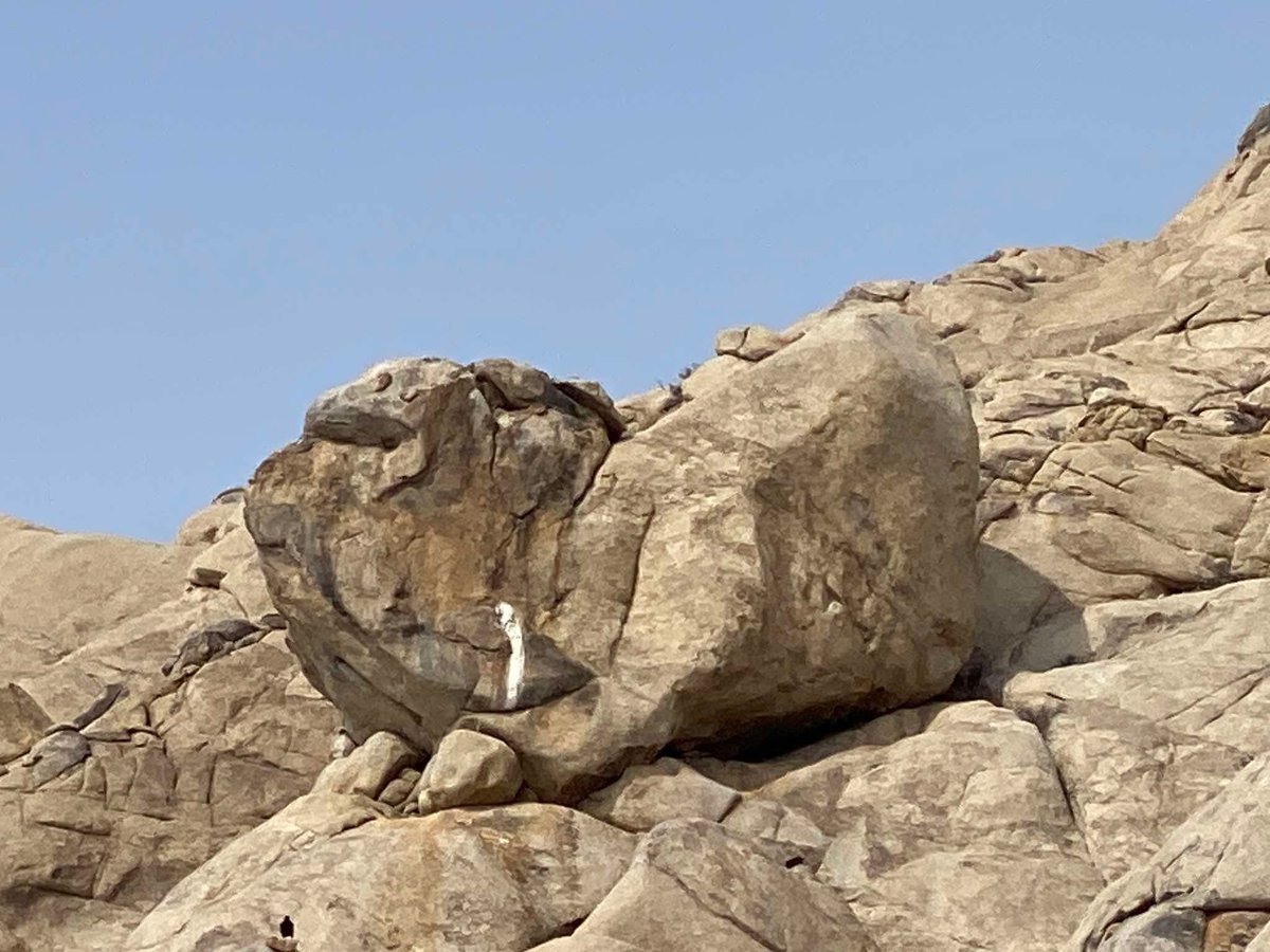 Өглөөний мэнд ээ! Сайн анзаарвал…