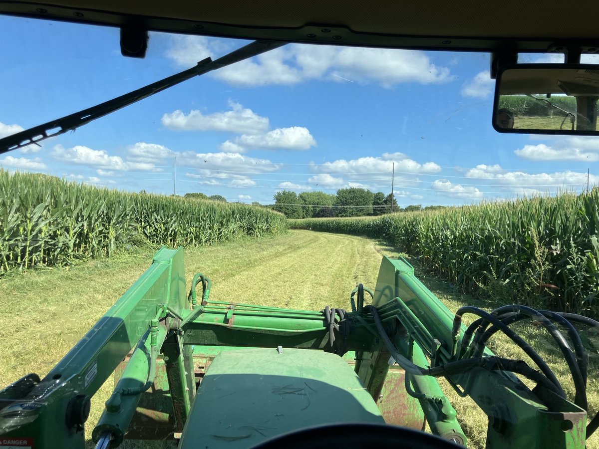 No, it’s not Iowa it’s just a field in west central Ohio with some nice waterways and some really pretty corn.
