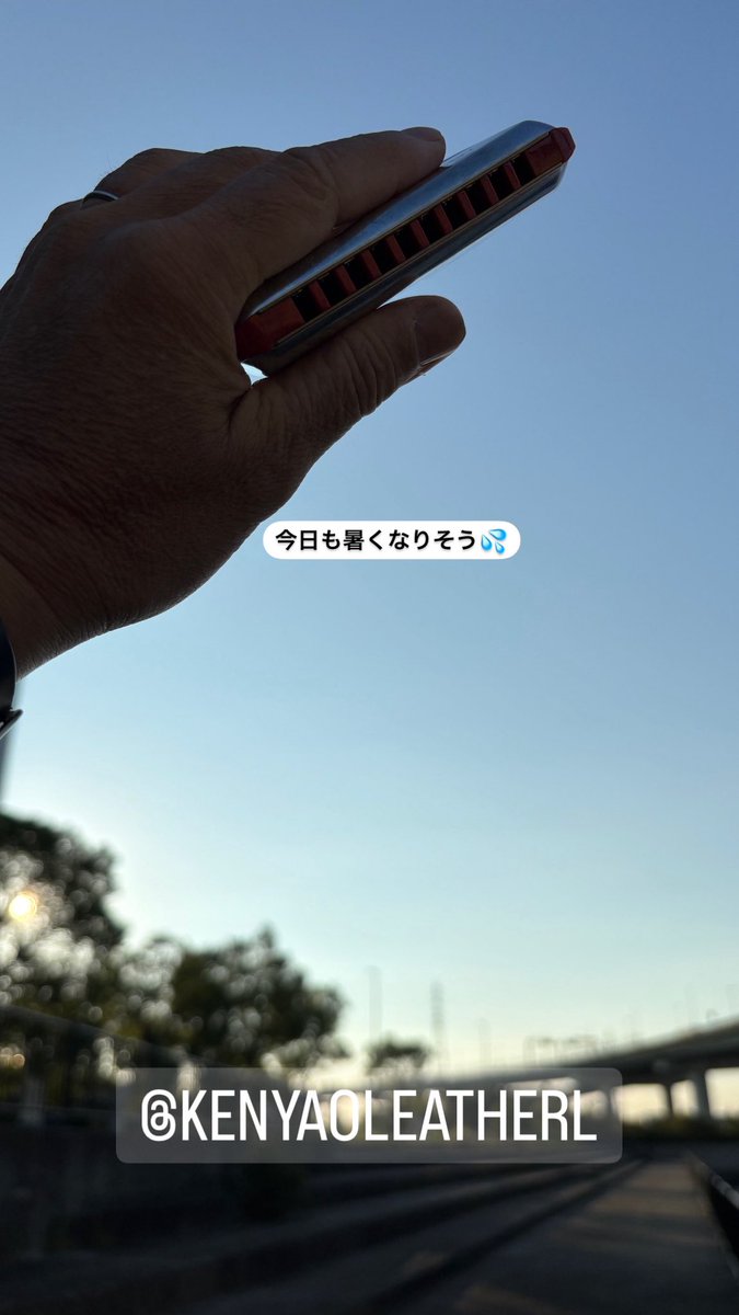 今日も暑くなりそう💦