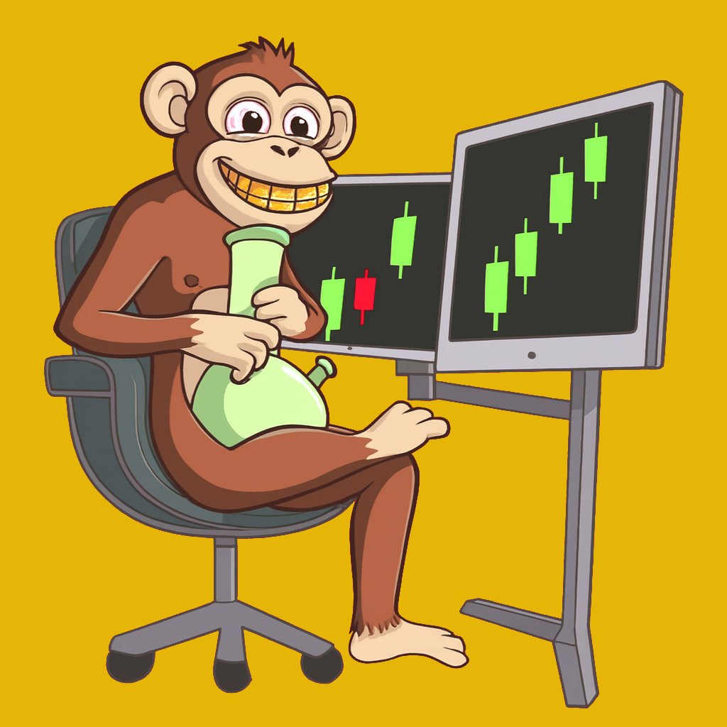 BONGE_MONKEY's tweet photo. Stress? Nah.
Volatility? Bring it on.
He stays cool — always.💻🪴🧠 https://t.co/1aknPR0tK6