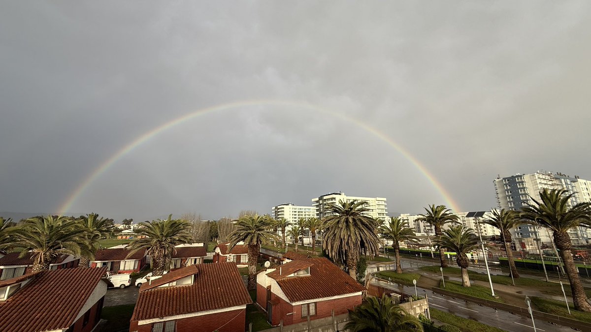 Maca Milla tweet media