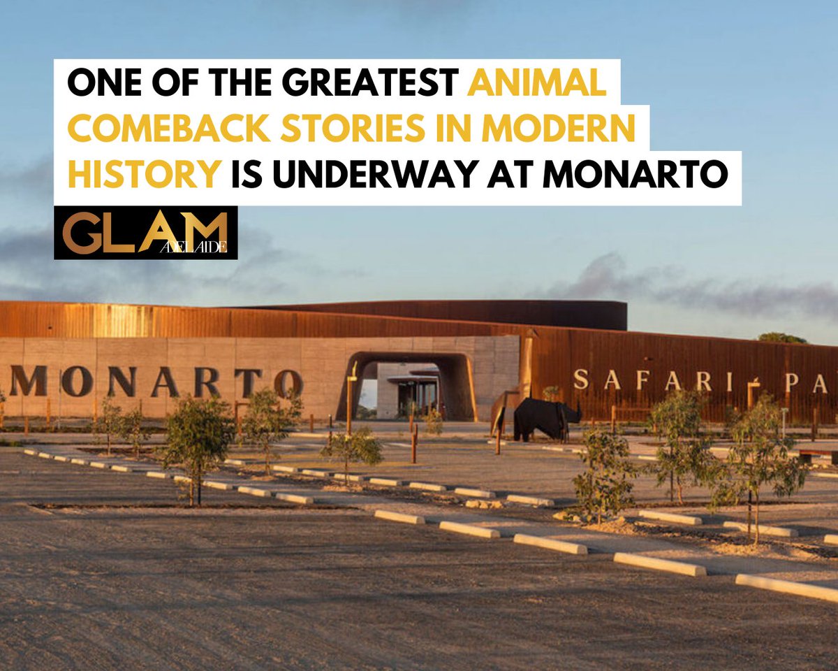 AMAZING ANIMAL COMEBACK STORY: Monarto Safari Park is celebrating after playing a part in one of the greatest comeback stories in modern wildlife conservation! >> ap1.hubs.ly/y0bV330

🌟 Read daily news on our free iPhone app: ap1.hubs.ly/y0bQX60

🌟 Read daily news on
