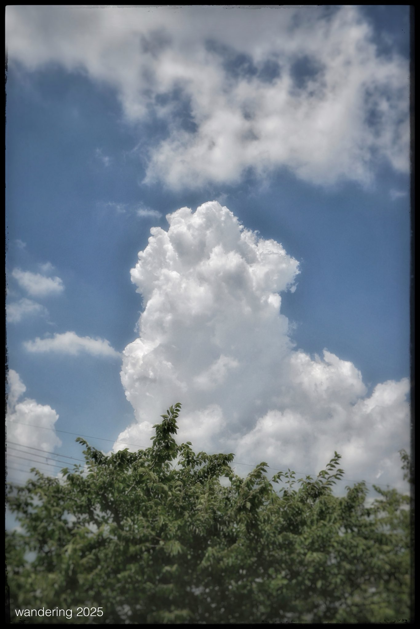 夏の雲 桐古堂 on X: 