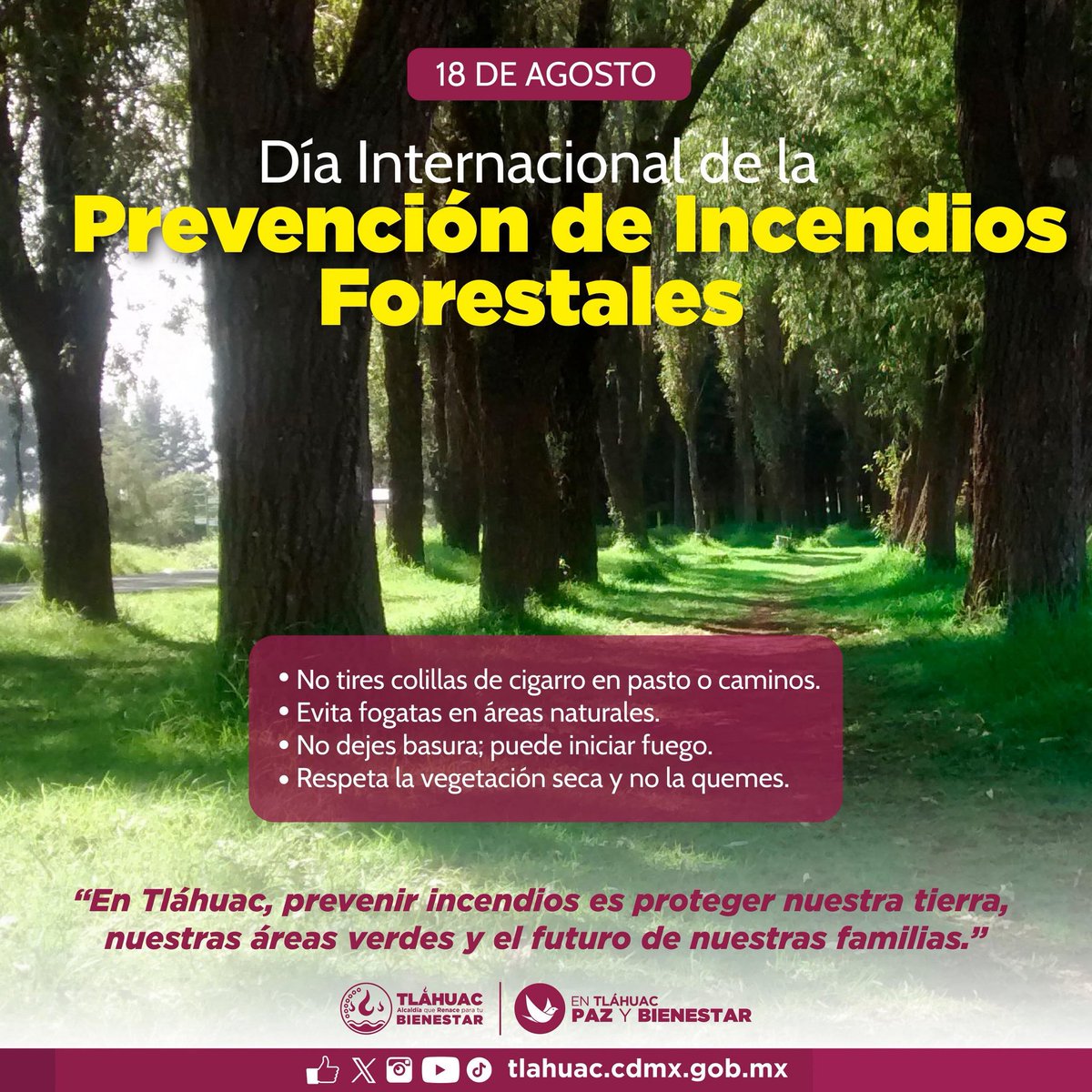 Cuidar nuestros bosques y áreas verdes es responsabilidad de todas y todos. 🍃💚

Prevenir incendios es proteger nuestra tierra, nuestras áreas verdes y el futuro de nuestras familias. 🌳