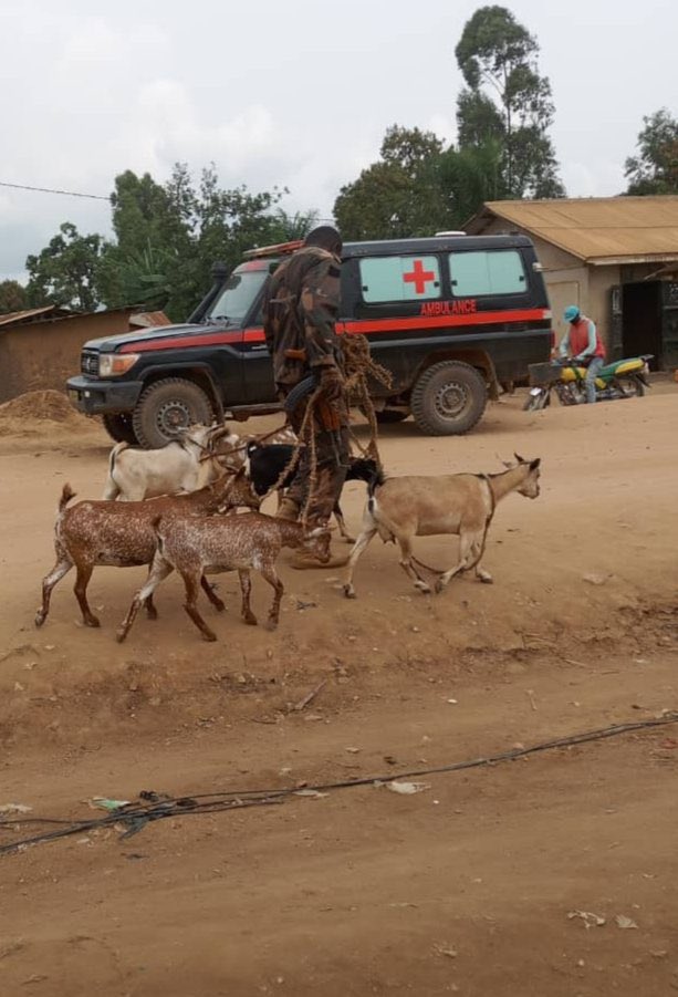 This image encapsulates everything you need to understand about the #DRC conflict. 
It depicts an army that plunders and vandalizes, while humanitarian organizations and UN agencies merely observe. In the meantime, the civilian population endures immense suffering. 

The