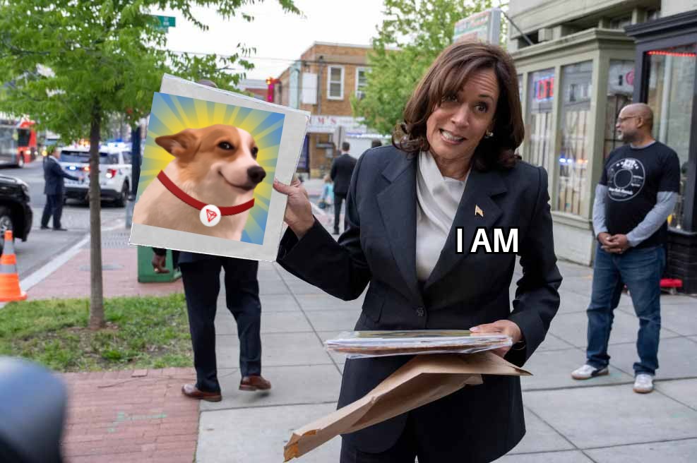 naelshots_jnr's tweet image. 🌞🐶 Celebrate #SunPumpTurns1 with @sunpumpmeme &amp;amp; @SUNDOG_TRX! 🚀 Join the meme coin party on TRON with @TokenPocket_TP! 💥 Let’s make waves in the crypto jungle! 🌴 #MemeCoinVibes
Zealy username: Nathaniel_jnr