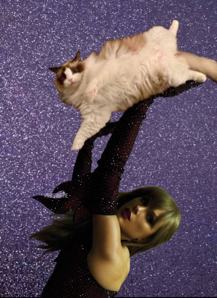 Kimbeяℓy not aIMee ❤️‍🔥 tweet media