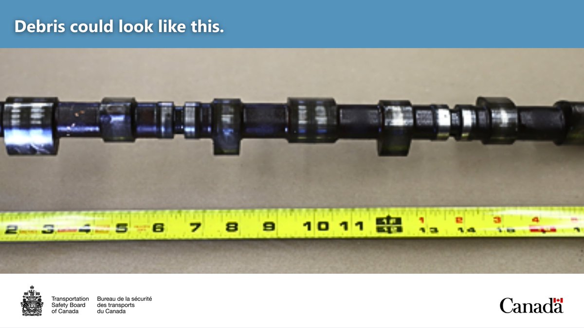 TSB of Canada tweet media