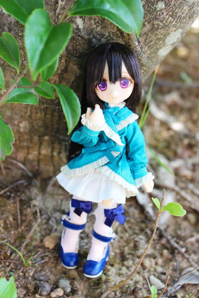 おはようございます☀

みっちゃんにセリーヌちゃんのデフォ服を着せてみました。セリーヌちゃんのお洋服って分かってても、みっちゃんにも
似合う…！最の高！可愛い可愛いね

#君影草DOLL　 #うちのこかわいい