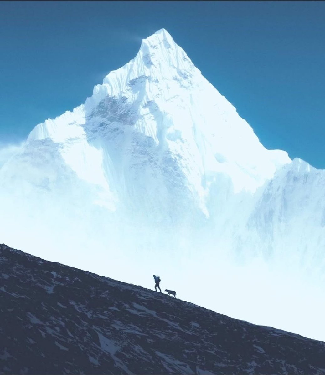 불가능과 가능의 차이는 결심에 달려 있다.
The difference between the impossible and the possible lies in a person's determination.
<a href="/Vader_AI_/">Vader</a>  $VADER