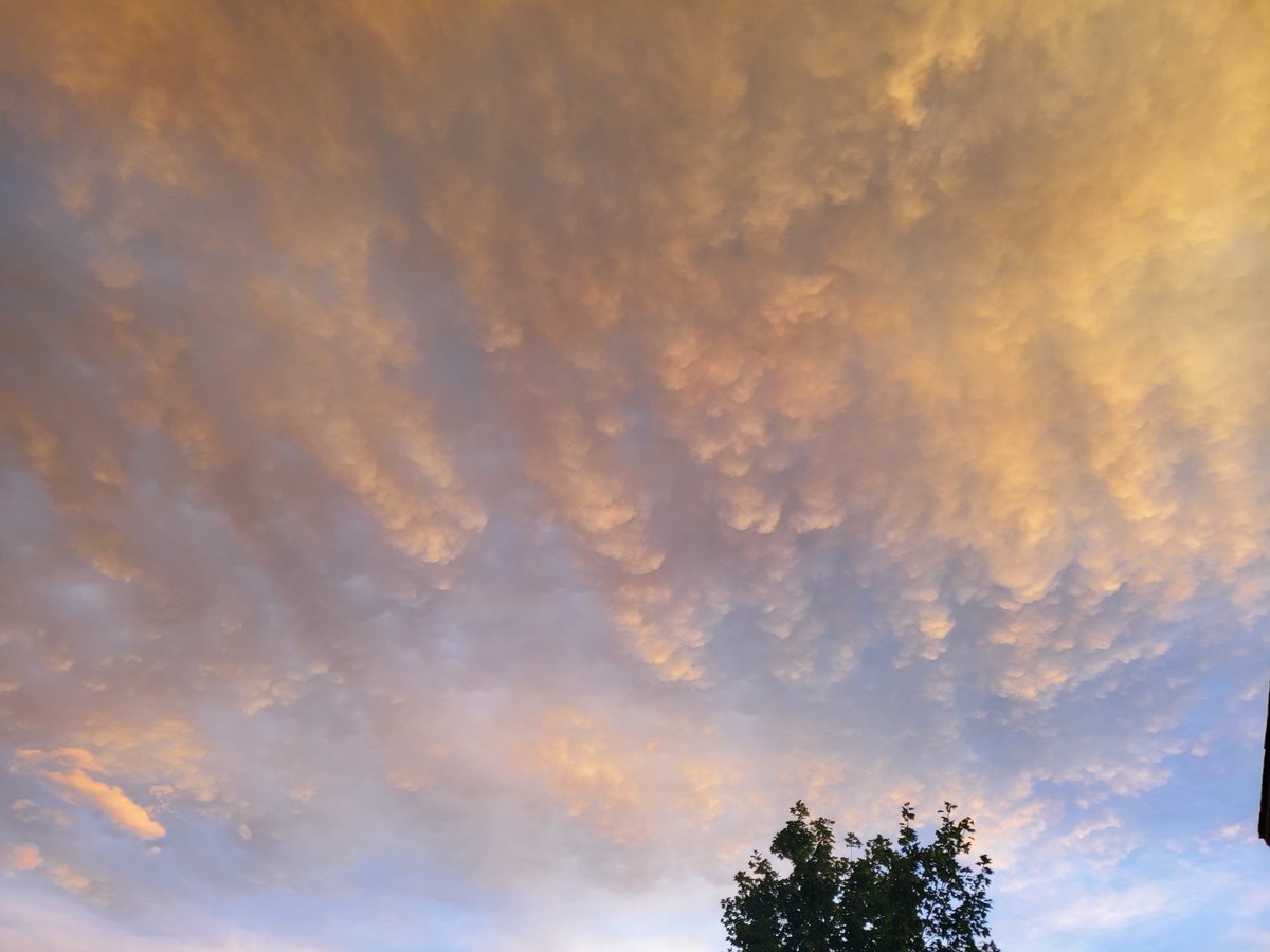 Gracing your timeline with beautiful skies.