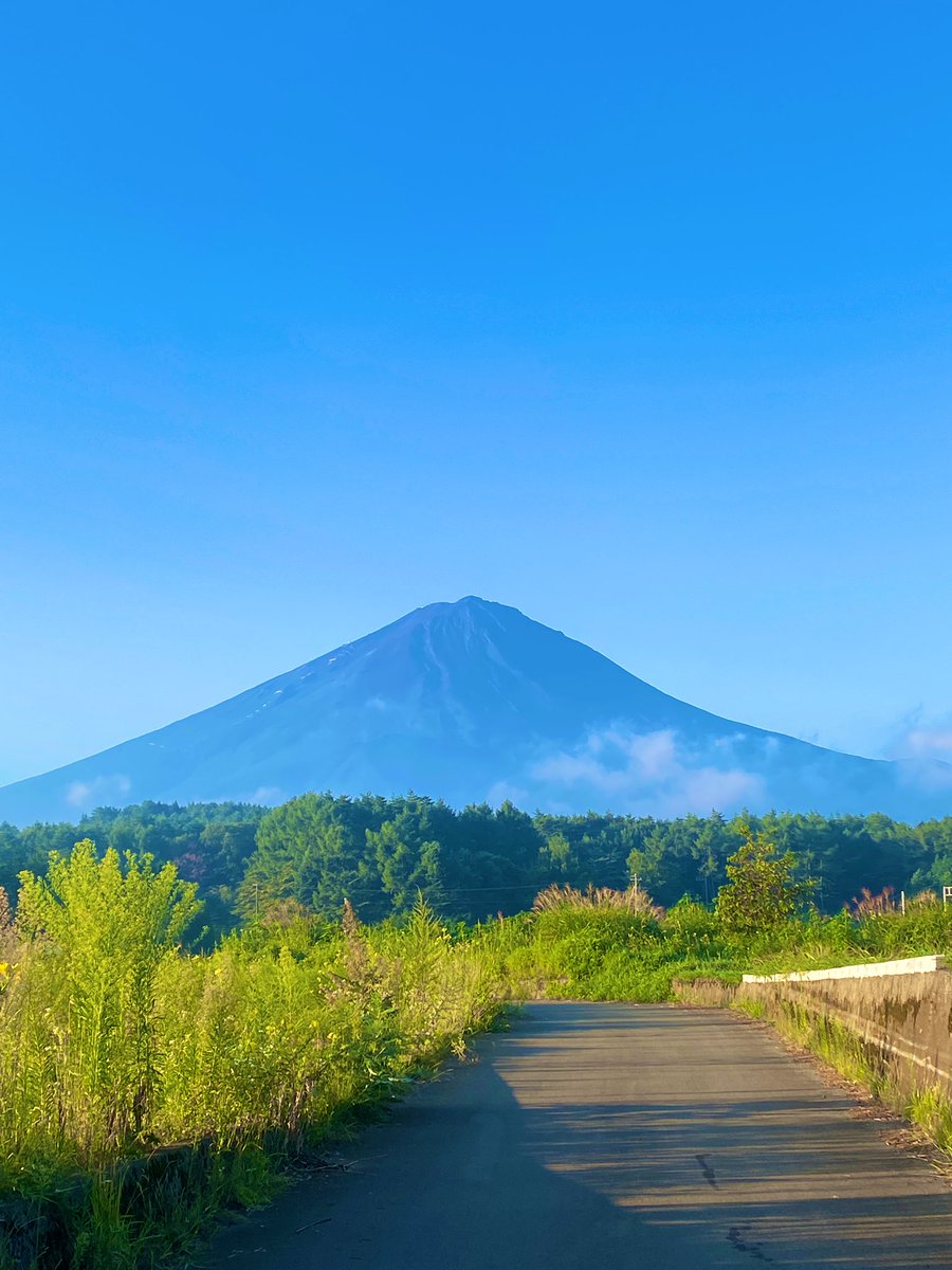 いつもの道。日が当たると急に輻射熱を強く感じる。２０℃の涼しい朝がさっさと去っていく。